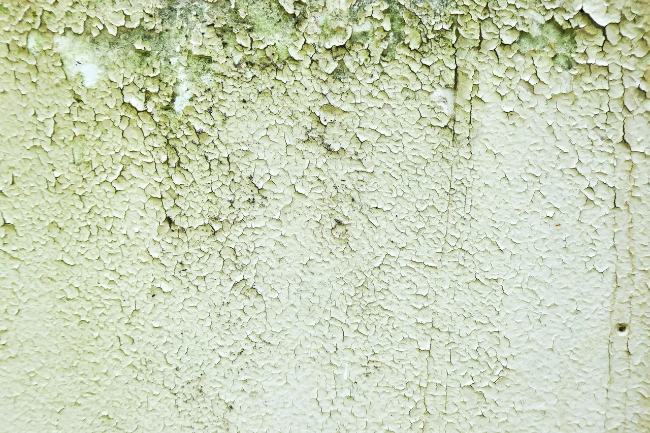 House home mold testing Palm Bay FL