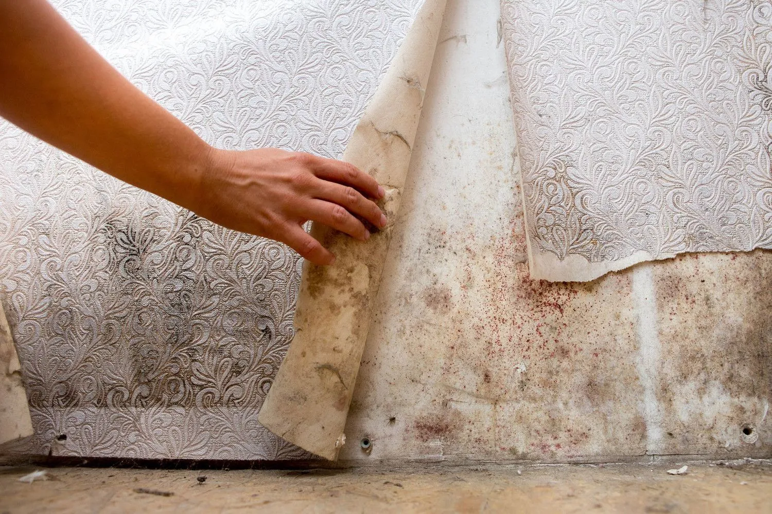 Mold testing Palm Bay FL